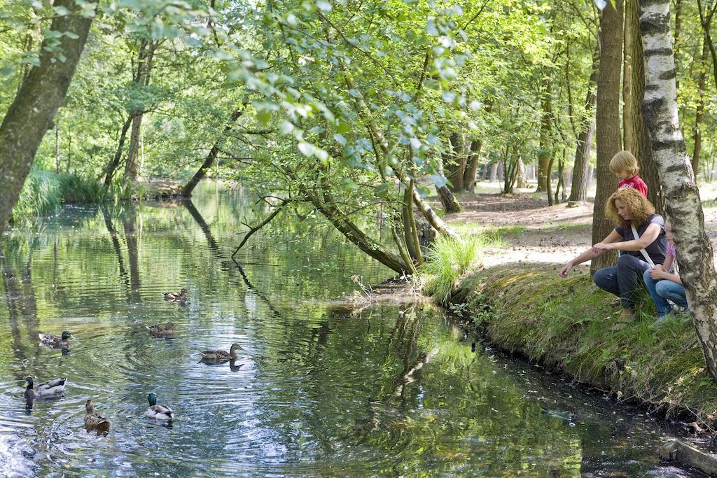 Center Parcs Meerdal Limburg-Brabant Америка Екстериор снимка