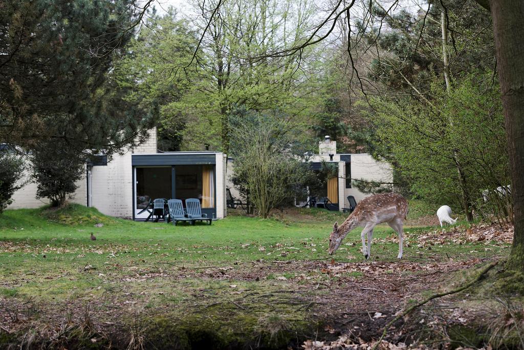Center Parcs Meerdal Limburg-Brabant Америка Стая снимка