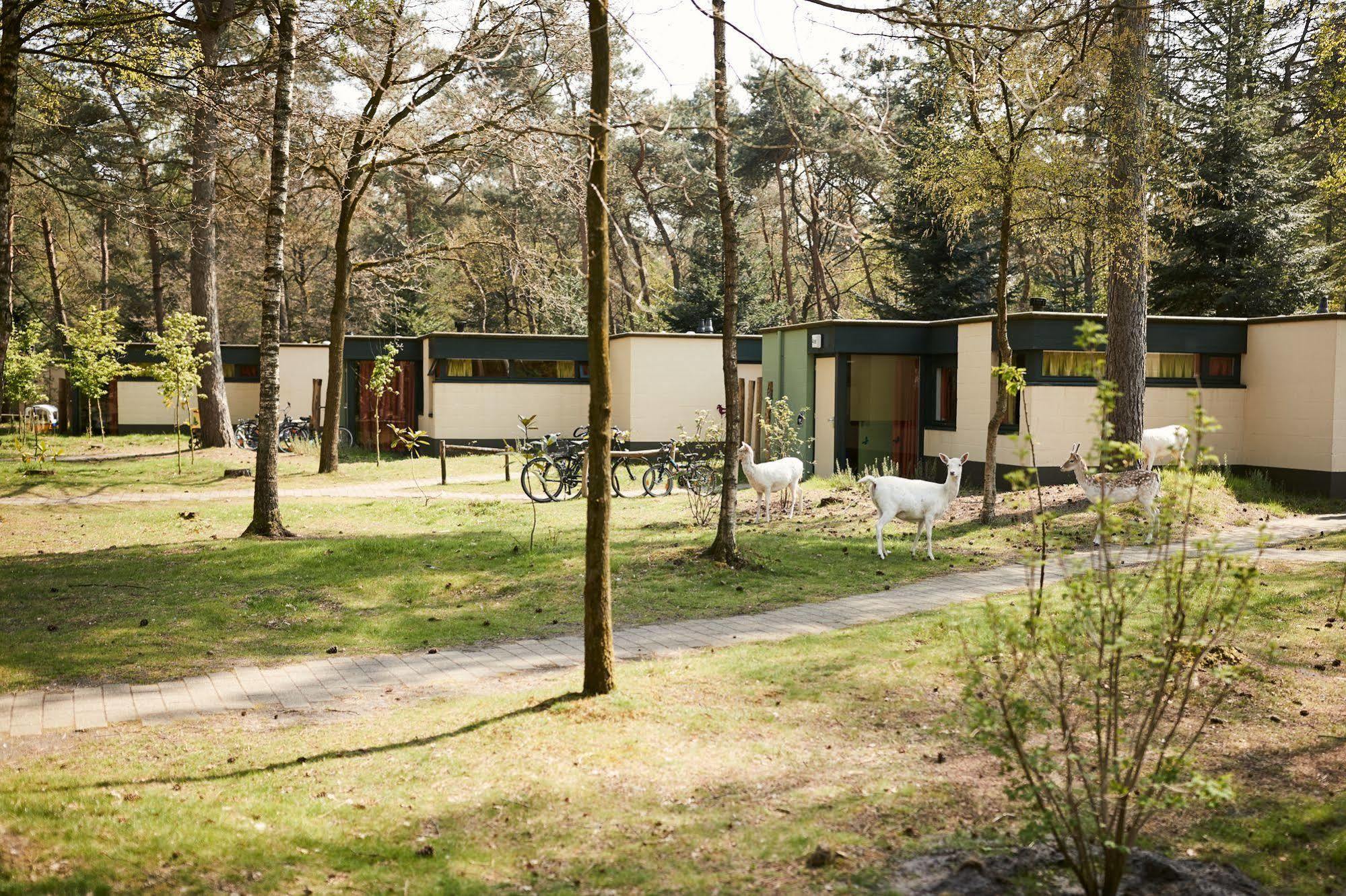 Center Parcs Meerdal Limburg-Brabant Америка Екстериор снимка